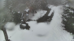 Bílá - běžecká trať