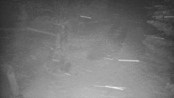 Bílá - běžecká trať