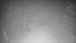 Bílá - běžecká trať