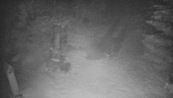 Bílá - běžecká trať