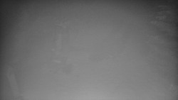 Bílá - běžecká trať