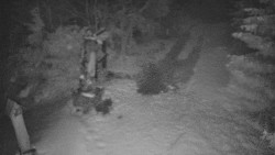 Bílá - běžecká trať