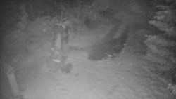 Bílá - běžecká trať