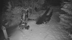 Bílá - běžecká trať