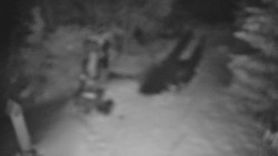 Bílá - běžecká trať