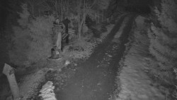 Bílá - běžecká trať