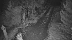 Bílá - běžecká trať