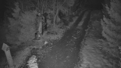 Bílá - běžecká trať