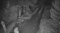 Bílá - běžecká trať