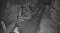 Bílá - běžecká trať