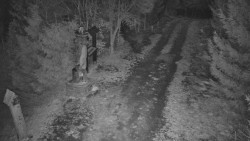 Bílá - běžecká trať