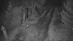 Bílá - běžecká trať