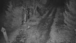 Bílá - běžecká trať