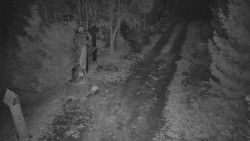 Bílá - běžecká trať