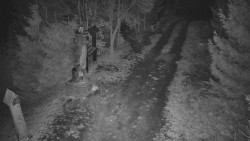 Bílá - běžecká trať