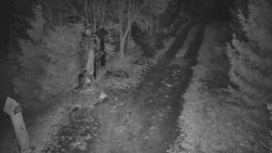 Bílá - běžecká trať