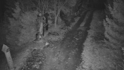 Bílá - běžecká trať