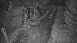 Bílá - běžecká trať