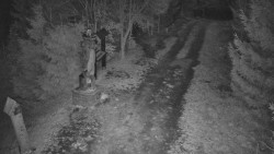 Bílá - běžecká trať