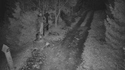 Bílá - běžecká trať