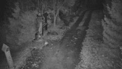 Bílá - běžecká trať