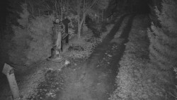 Bílá - běžecká trať