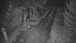 Bílá - běžecká trať