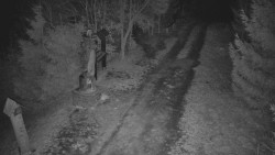 Bílá - běžecká trať