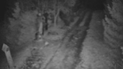 Bílá - běžecká trať