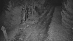 Bílá - běžecká trať