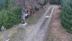 Bílá - běžecká trať