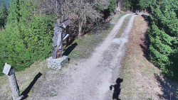 Bílá - běžecká trať