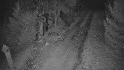 Bílá - běžecká trať