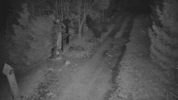 Bílá - běžecká trať