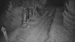 Bílá - běžecká trať