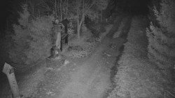 Bílá - běžecká trať