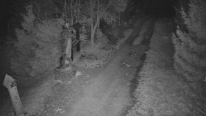 Skiareál Bílá - Bílá - běžecká trať - 8.4.2026 v 04:00 Skiareál Bílá - Bílá - běžecká trať - 8.4.2026 v 04:00