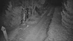 Bílá - běžecká trať