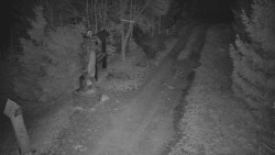 Bílá - běžecká trať