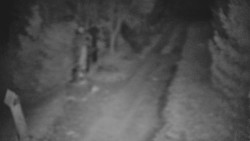 Bílá - běžecká trať