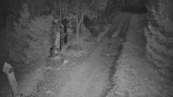 Bílá - běžecká trať