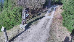 Bílá - běžecká trať