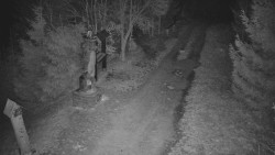 Bílá - běžecká trať