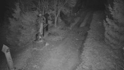 Bílá - běžecká trať