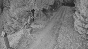 Skiareál Bílá - Bílá - běžecká trať - 10.4.2026 v 20:00 Skiareál Bílá - Bílá - běžecká trať - 10.4.2026 v 20:00
