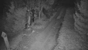 Skiareál Bílá - Bílá - běžecká trať - 10.4.2026 v 21:30 Skiareál Bílá - Bílá - běžecká trať - 10.4.2026 v 21:30