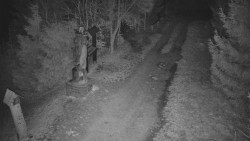 Bílá - běžecká trať