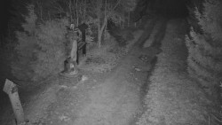 Bílá - běžecká trať