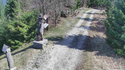 Bílá - běžecká trať