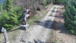 Bílá - běžecká trať